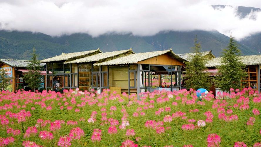 花语牧场值得去吗?花语牧场儿童收费-图2 花语牧场值得去吗?花语牧场儿童收费-图2