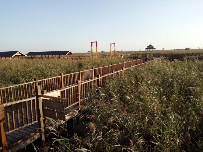 苇海蟹滩门票?盘锦芦苇荡怎么收费-图2 苇海蟹滩门票?盘锦芦苇荡怎么收费-图2
