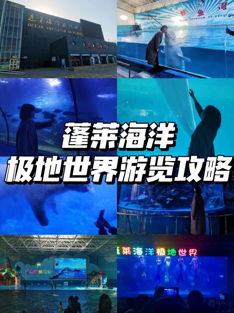 蓬莱海洋极地世界蓬莱人购票有优惠么?蓬莱极地停车收费-图2 蓬莱海洋极地世界蓬莱人购票有优惠么?蓬莱极地停车收费-图2