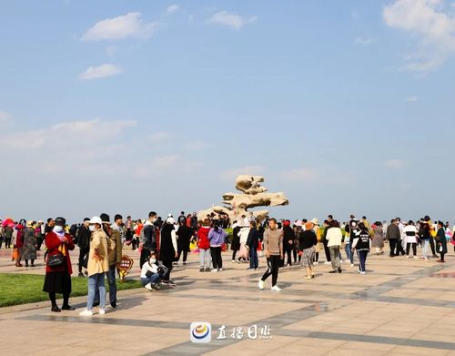 日照森林公园现在收费吗?日照市人万平口收费吗-图3 日照森林公园现在收费吗?日照市人万平口收费吗-图3