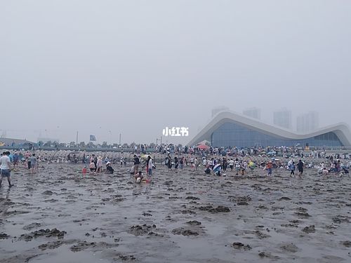 塘沽亲海公园要门票吗?天津哪个海不收费-图2 塘沽亲海公园要门票吗?天津哪个海不收费-图2