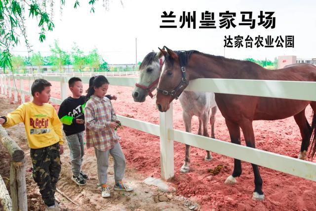 兰州哪有骑马场？万博马术俱乐部收费