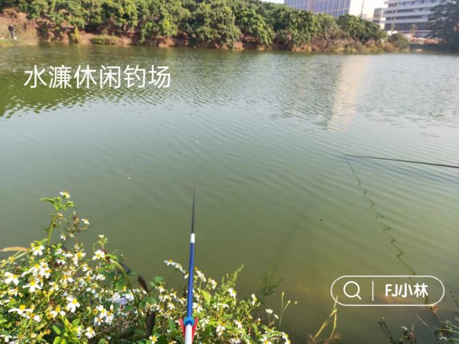 厦门岛内淡水钓鱼的地方？杏林水库钓鱼收费吗-图3