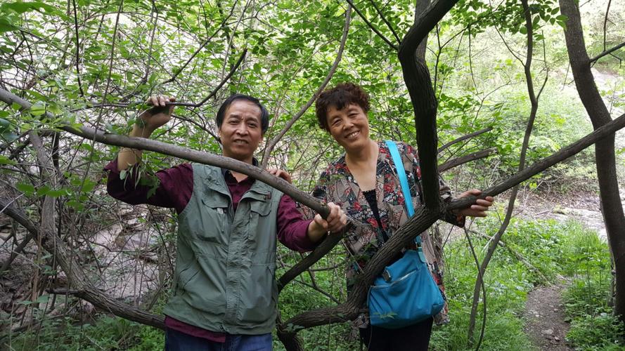 山张林场需要门票吗?偃师山张林场收费吗-图2 山张林场需要门票吗?偃师山张林场收费吗-图2