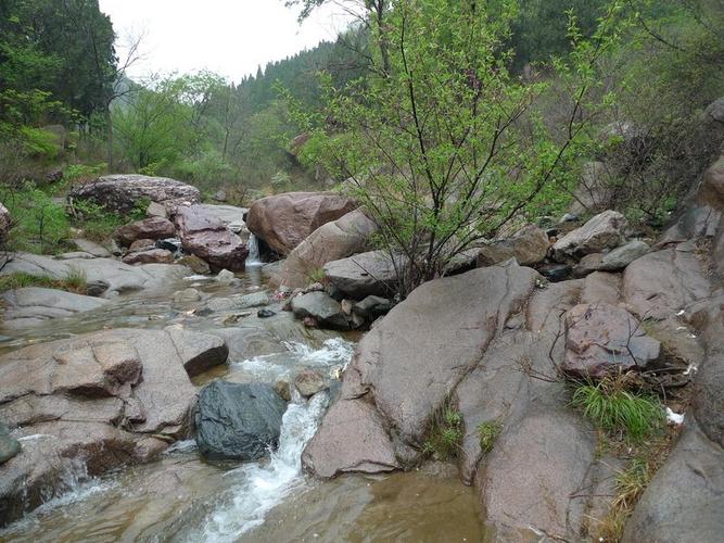 山张林场需要门票吗?偃师山张林场收费吗-图3 山张林场需要门票吗?偃师山张林场收费吗-图3