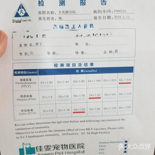 请问北京哪里有24小时宠物医院？怡亚动物医院收费