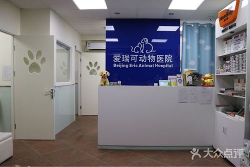 请问北京哪里有24小时宠物医院?怡亚动物医院收费-图3 请问北京哪里有24小时宠物医院?怡亚动物医院收费-图3