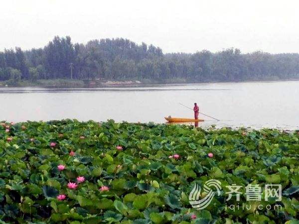 章丘白云湖公园门票多钱？章丘白云湖收费吗