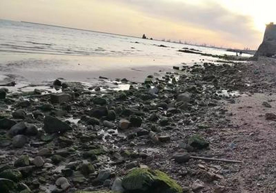 东戴河哪里可以赶海抓鱼拾贝？止锚湾沙滩乱收费哪管