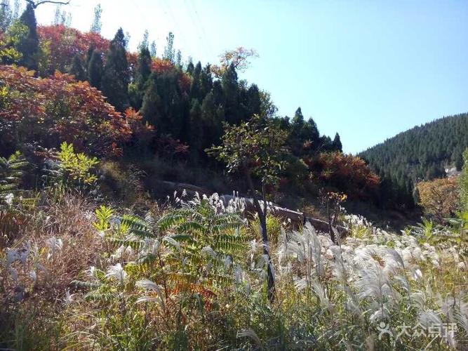 淄川不收门票的景区？淄川的留仙谷收费吗-图3