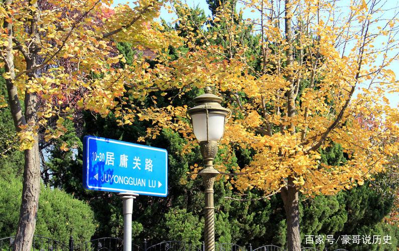 青岛八大关关闭了吗?八大关要收费的地方-图3 青岛八大关关闭了吗?八大关要收费的地方-图3