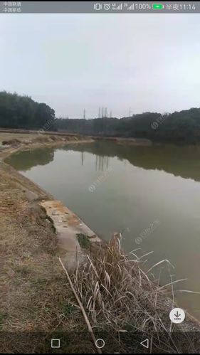 崇州白塔湖钓鱼多少钱?白塔湖钓鱼收费-图2 崇州白塔湖钓鱼多少钱?白塔湖钓鱼收费-图2