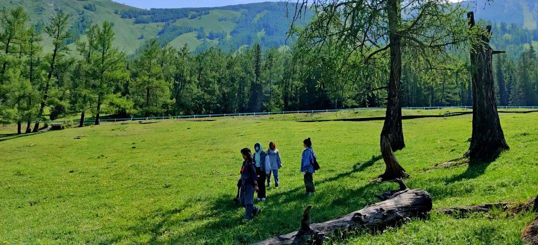 新疆天山区哪里可以野餐?布尔津县收费站在哪儿-图3 新疆天山区哪里可以野餐?布尔津县收费站在哪儿-图3