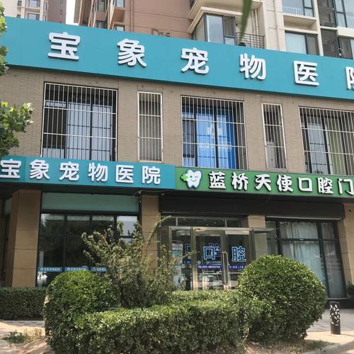 天津最好的宠物医院？长江宠物医院收费标准