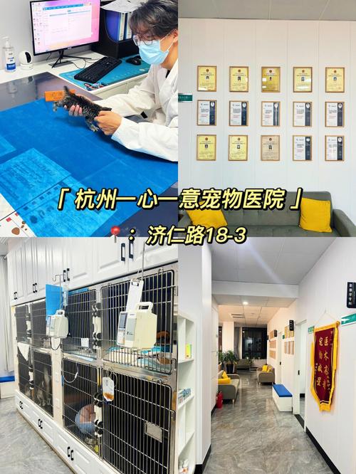 天津最好的宠物医院？长江宠物医院收费标准-图3
