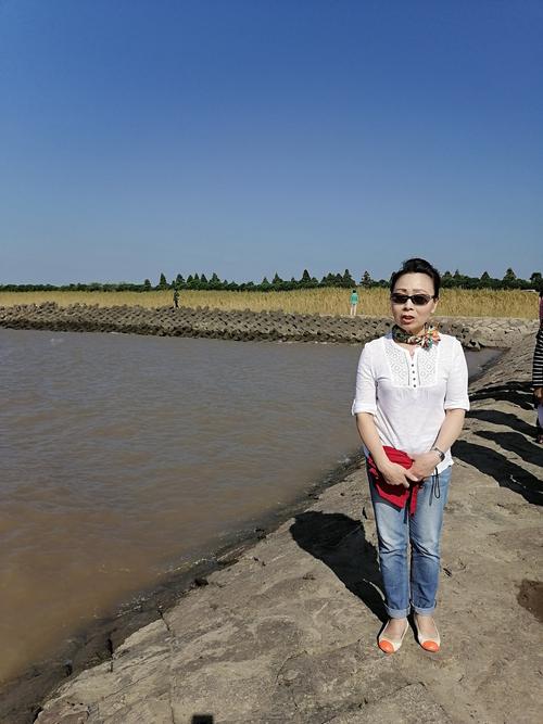 崇明岛海边有停车场吗?崇明东滩收费吗-图1 崇明岛海边有停车场吗?崇明东滩收费吗-图1