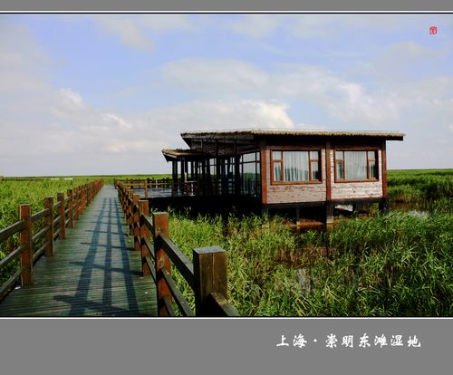 崇明东滩湿地需要门票吗?要门票的话票价是多少呢?崇明湿地公园收费吗-图2 崇明东滩湿地需要门票吗?要门票的话票价是多少呢?崇明湿地公园收费吗-图2