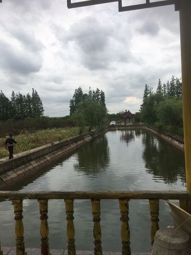 崇明哪里比较好玩,最好是可以钓鱼,或者有免费景点的?崇明玩那些是不收费-图2 崇明哪里比较好玩,最好是可以钓鱼,或者有免费景点的?崇明玩那些是不收费-图2