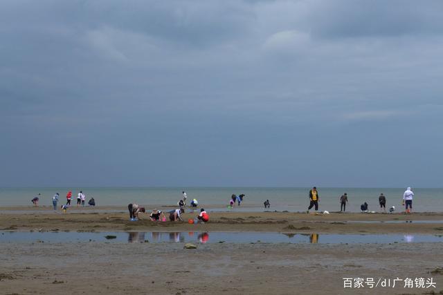 辽宁8月份赶海最佳地点?大连夏家河子收费-图2 辽宁8月份赶海最佳地点?大连夏家河子收费-图2