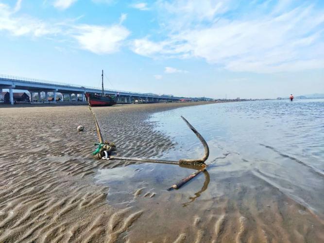 辽宁8月份赶海最佳地点?大连夏家河子收费-图3 辽宁8月份赶海最佳地点?大连夏家河子收费-图3