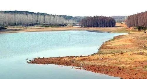 丹阳钓鱼最佳地方?丹阳泰山水库收费吗-图3 丹阳钓鱼最佳地方?丹阳泰山水库收费吗-图3
