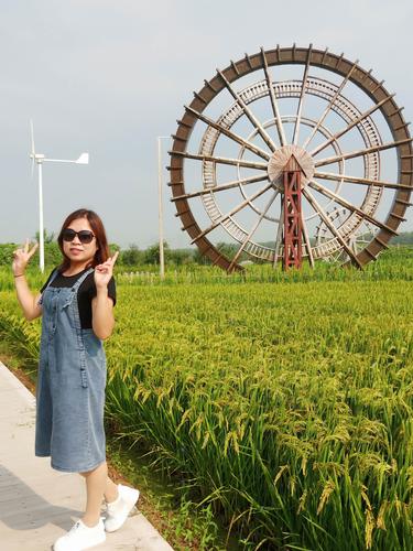 稻梦空间儿童免票吗?稻梦空间 收费标准-图3 稻梦空间儿童免票吗?稻梦空间 收费标准-图3