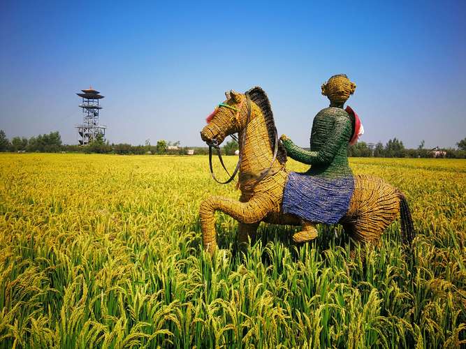 稻梦空间儿童免票吗？稻梦空间 收费标准