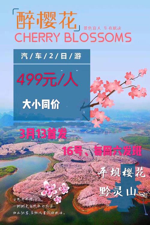 贵阳樱花园门票多少？贵阳樱花教育收费单