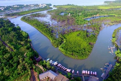 海口东寨港红树林开了吗？海口红树林收费么