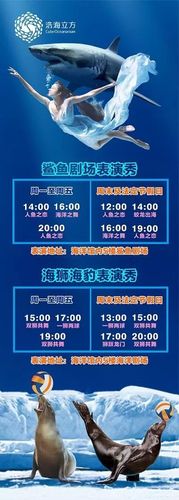 合肥海洋馆什么时候建立的,门票多少钱?合肥海洋之星怎么收费-图2 合肥海洋馆什么时候建立的,门票多少钱?合肥海洋之星怎么收费-图2