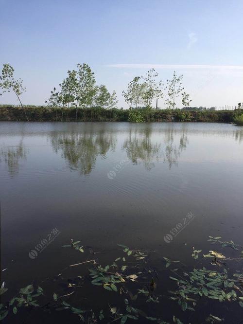 漯河附近哪里可以钓鲢鳙?湖南小塘收费标准-图1 漯河附近哪里可以钓鲢鳙?湖南小塘收费标准-图1