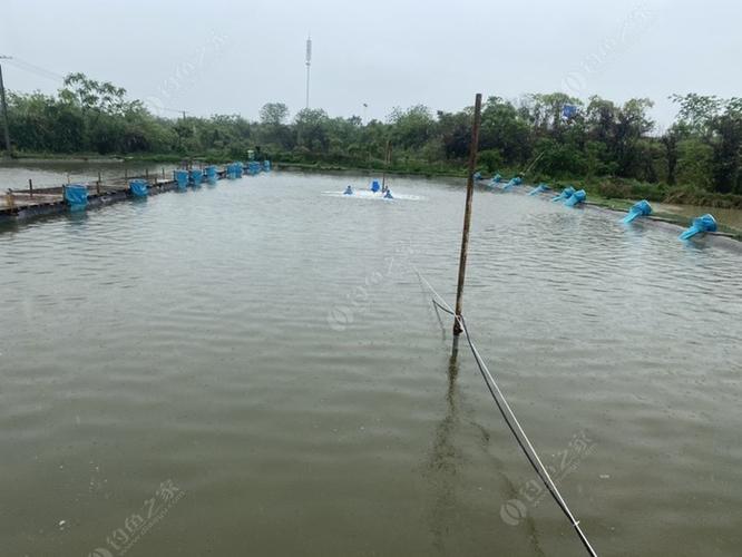 漯河附近哪里可以钓鲢鳙?湖南小塘收费标准-图2 漯河附近哪里可以钓鲢鳙?湖南小塘收费标准-图2