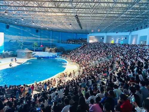 海昌海洋公园停车费大概多少?极地海洋世界收费标准-图2 海昌海洋公园停车费大概多少?极地海洋世界收费标准-图2