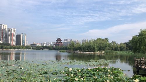 济宁湿地公园哪里最好?济宁市南池公园收费吗-图2 济宁湿地公园哪里最好?济宁市南池公园收费吗-图2