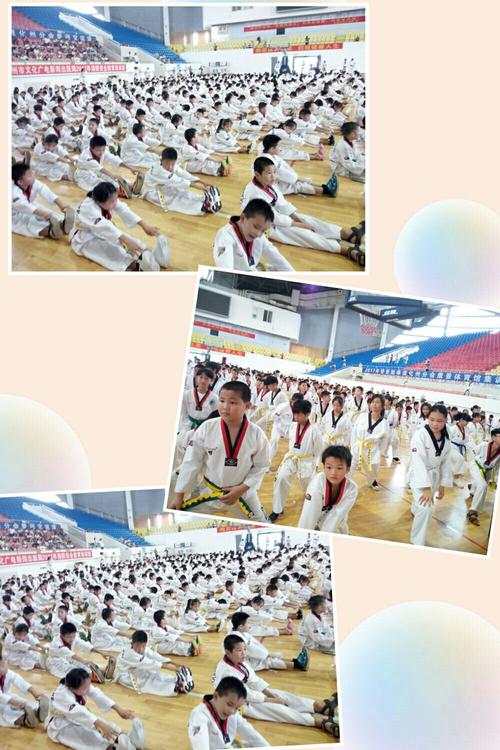 金华体校学费多少?金华跆拳道馆收费-图2 金华体校学费多少?金华跆拳道馆收费-图2