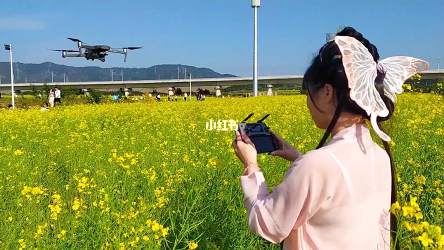 无人机景区拍摄需要申请吗?景区拍照收费合法吗-图3 无人机景区拍摄需要申请吗?景区拍照收费合法吗-图3