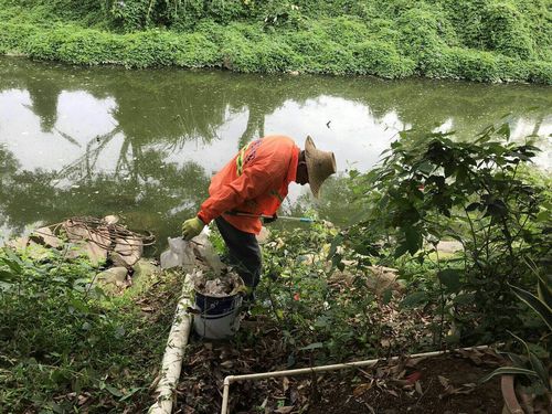 清理河道垃圾可以向游客收费吗?景区收费垃圾-图3 清理河道垃圾可以向游客收费吗?景区收费垃圾-图3