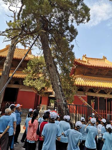 孔庙孔府停车攻略?孔庙停车收费吗-图2 孔庙孔府停车攻略?孔庙停车收费吗-图2