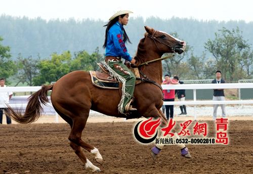 青岛有骑马的地方吗？崂山骑马场怎么收费-图2