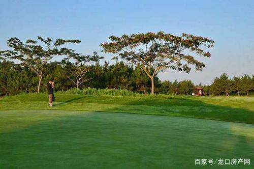 龙口有几个高尔夫球场？龙口高尔夫球收费标准