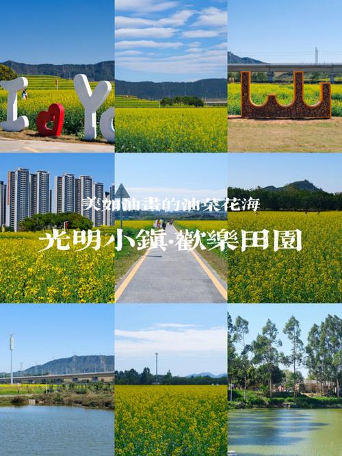 深圳光明小镇油菜花海要门票吗？楼村市场停车收费标准