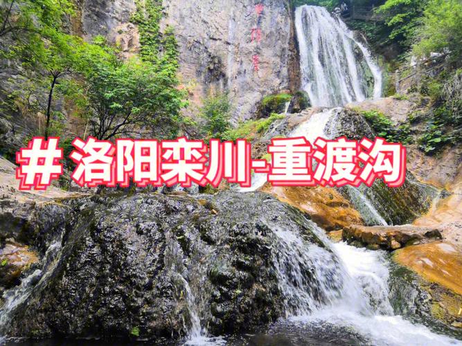 重渡沟现在的门票是多少钱？从洛阳到重渡沟需要多少路费？洛阳重渡沟钓鱼收费吗-图2