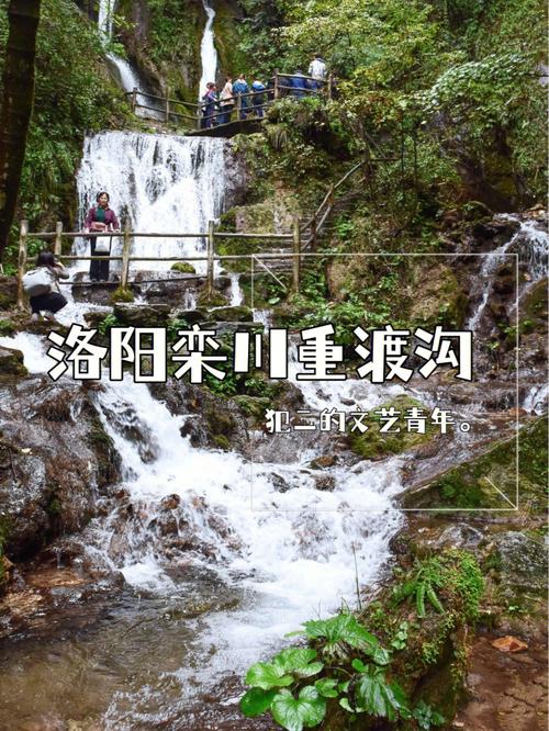重渡沟现在的门票是多少钱？从洛阳到重渡沟需要多少路费？洛阳重渡沟钓鱼收费吗-图3