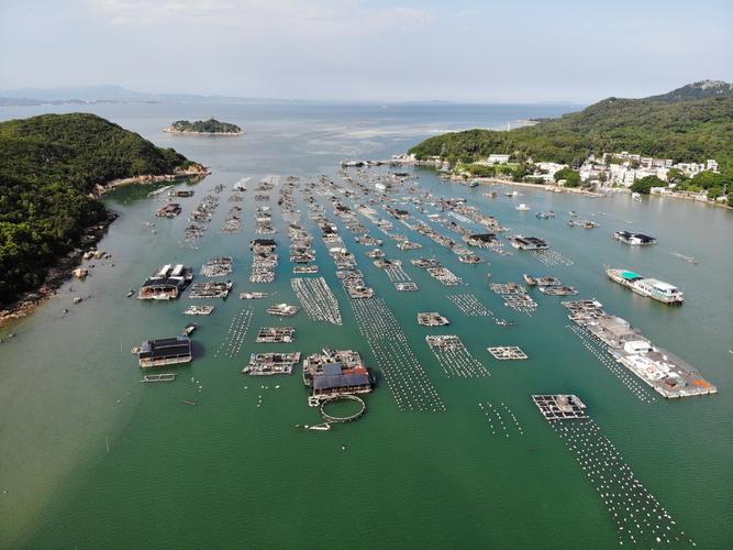 九仙山有哪些风景区?南澳鱼排收费-图3 九仙山有哪些风景区?南澳鱼排收费-图3