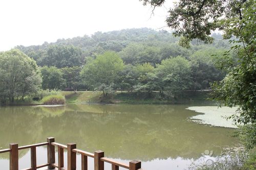 南京聚宝山公园开放时间和要求?南京聚宝山公园收费吗-图1 南京聚宝山公园开放时间和要求?南京聚宝山公园收费吗-图1
