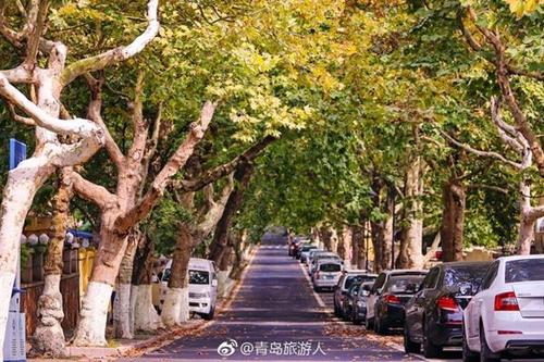 八大关附近停车怎么收费？青岛八大关景区收费