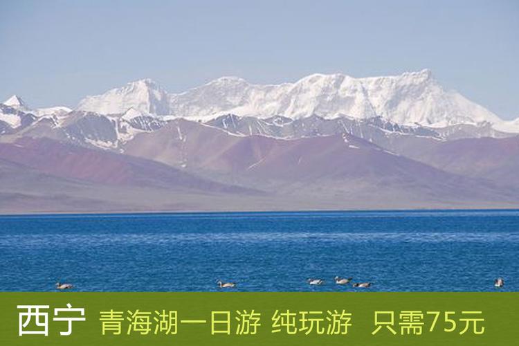 青海藏区旅游买的银碗是真的吗？青海湖藏民乱收费跟团