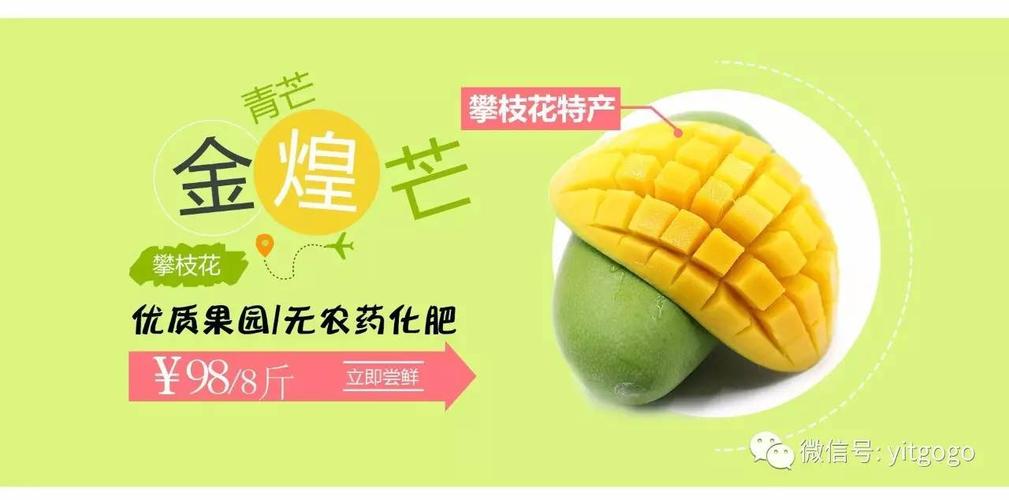 芒果原料验收标准?青芒测试收费标准-图2 芒果原料验收标准?青芒测试收费标准-图2