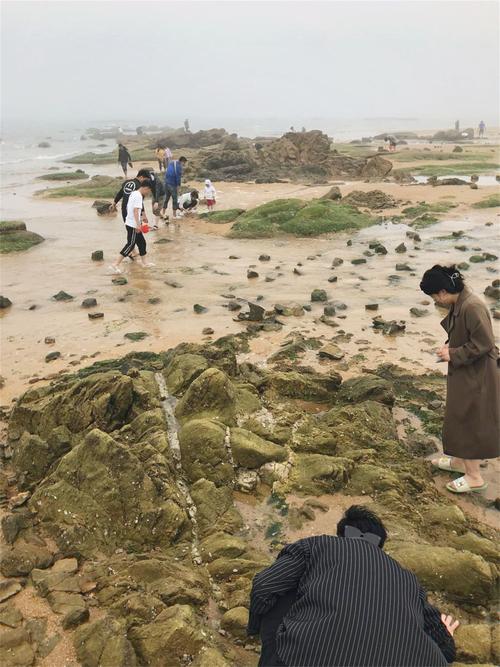 日照赶海园免费的哪个好?日照海边有哪个不收费-图2 日照赶海园免费的哪个好?日照海边有哪个不收费-图2