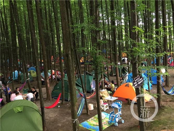 山王坪露营基地可以烧烤吗?山王坪露营收费吗-图2 山王坪露营基地可以烧烤吗?山王坪露营收费吗-图2